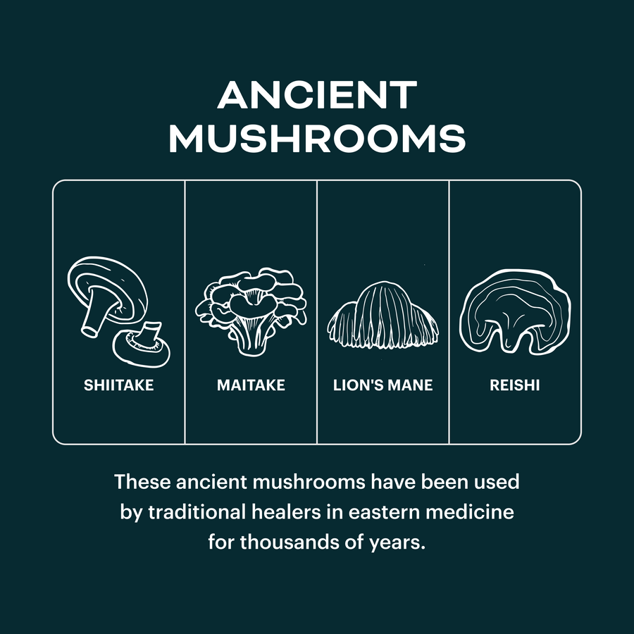 Functional Mushrooms Protein Bar