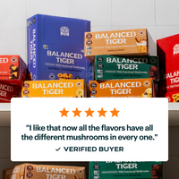Functional Mushrooms Protein Bar
