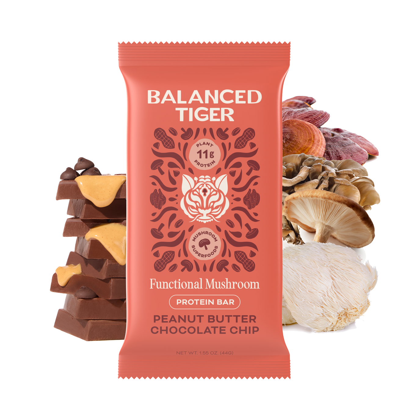 Peanut Butter Chocolate Mailer