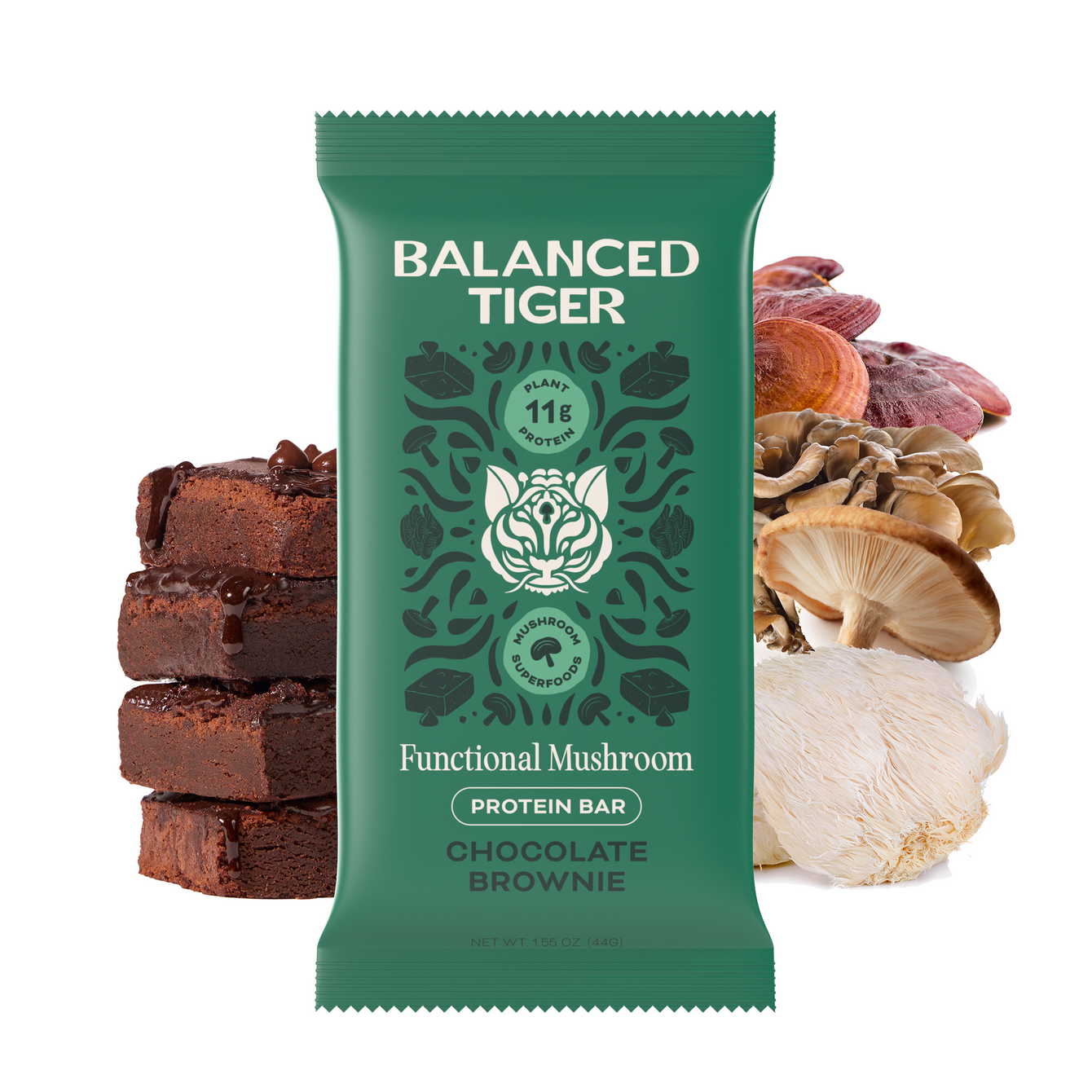 Chocolate Brownie Mailer