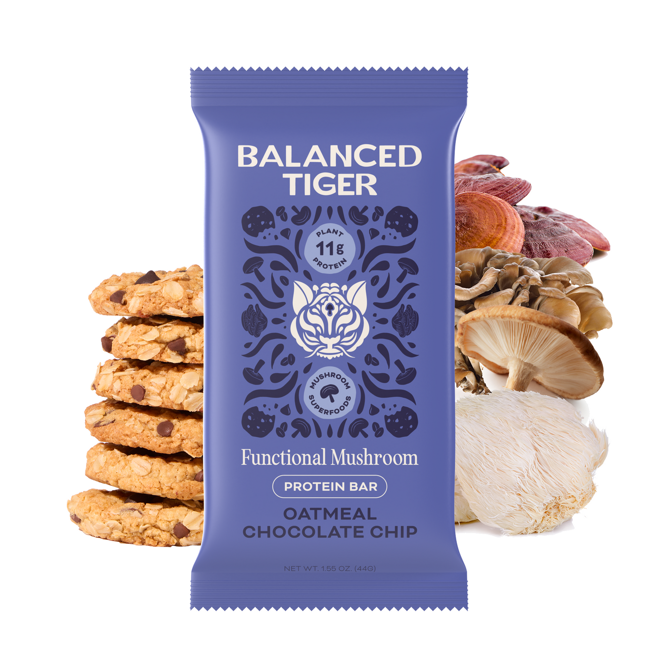 Oatmeal Chocolate Chip Mailer