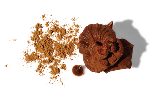 chaga mushroom and powder